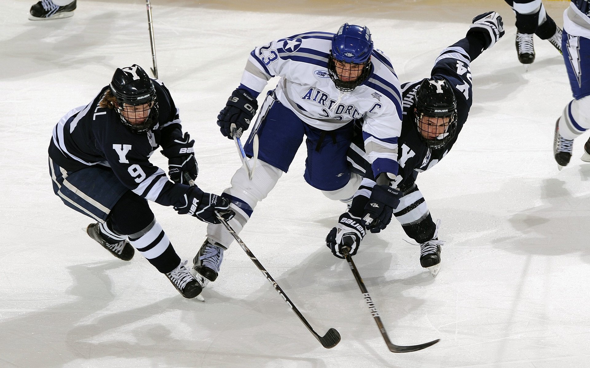 中国队在乒乓球项目中夺得六枚金牌,巩固了其在亚洲的领先地位。
