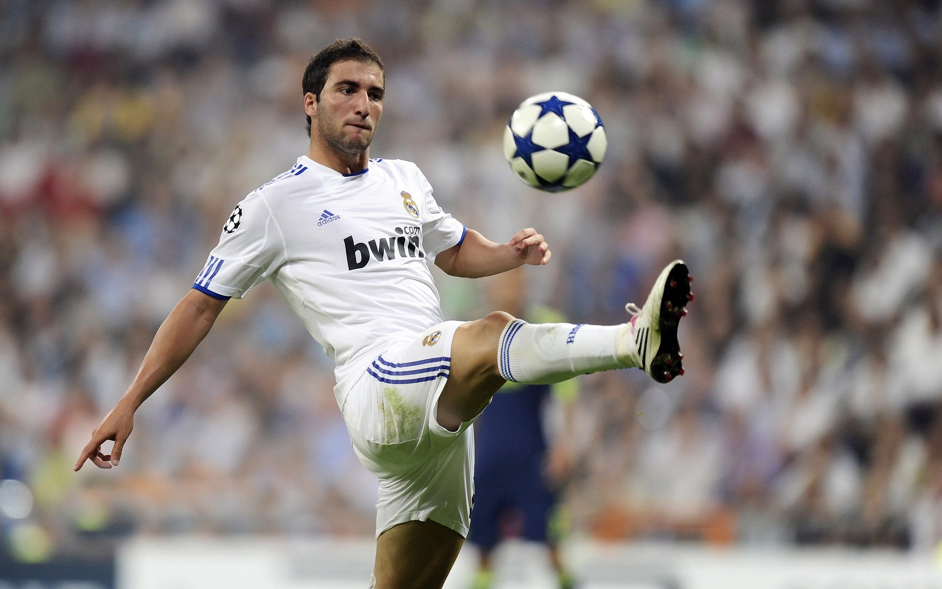 德甲加强青训体系建设，培养未来之星，德甲青训最好俱乐部